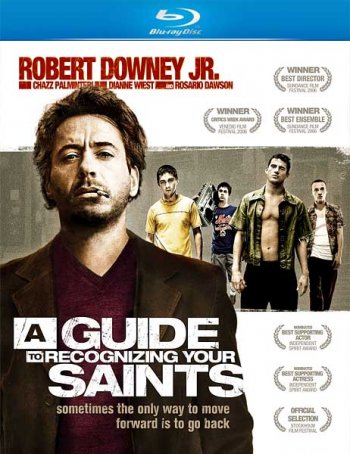     / A Guide to Recognizing Your Saints (2006)