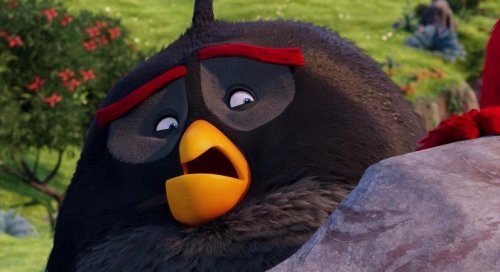 Angry Birds   (2016) BDRip