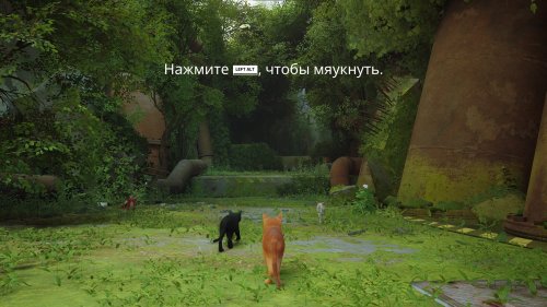 Stray (2022) PC | RePack  Chovka